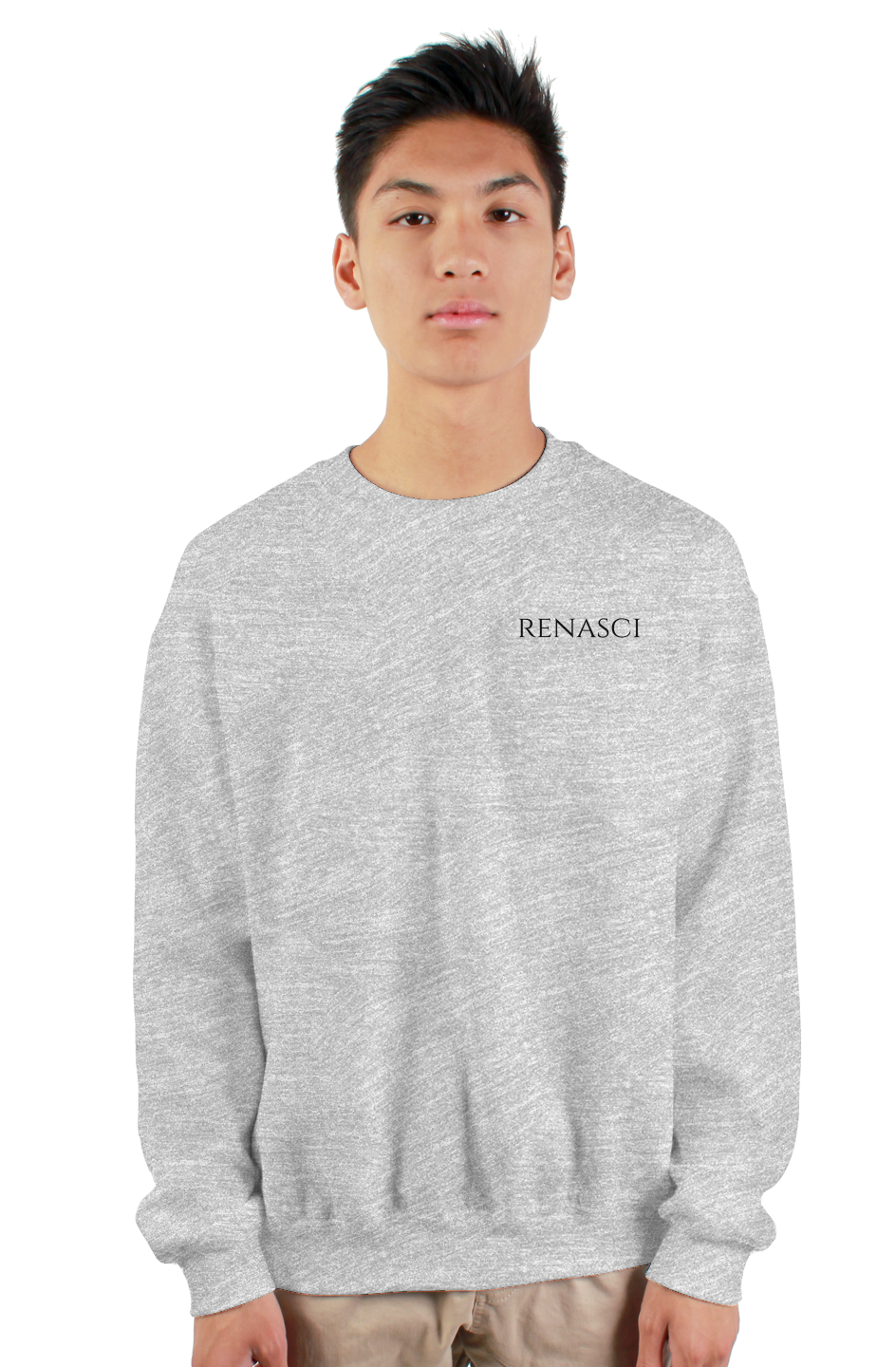 renasci heavy crewneck sweatshirt