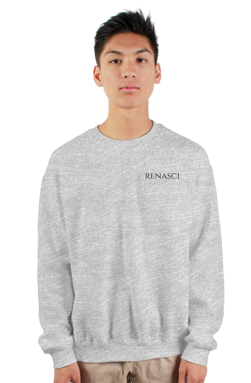 renasci heavy crewneck sweatshirt